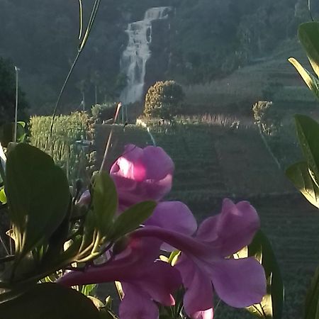 Cascade Vally Ella Zewnętrze zdjęcie