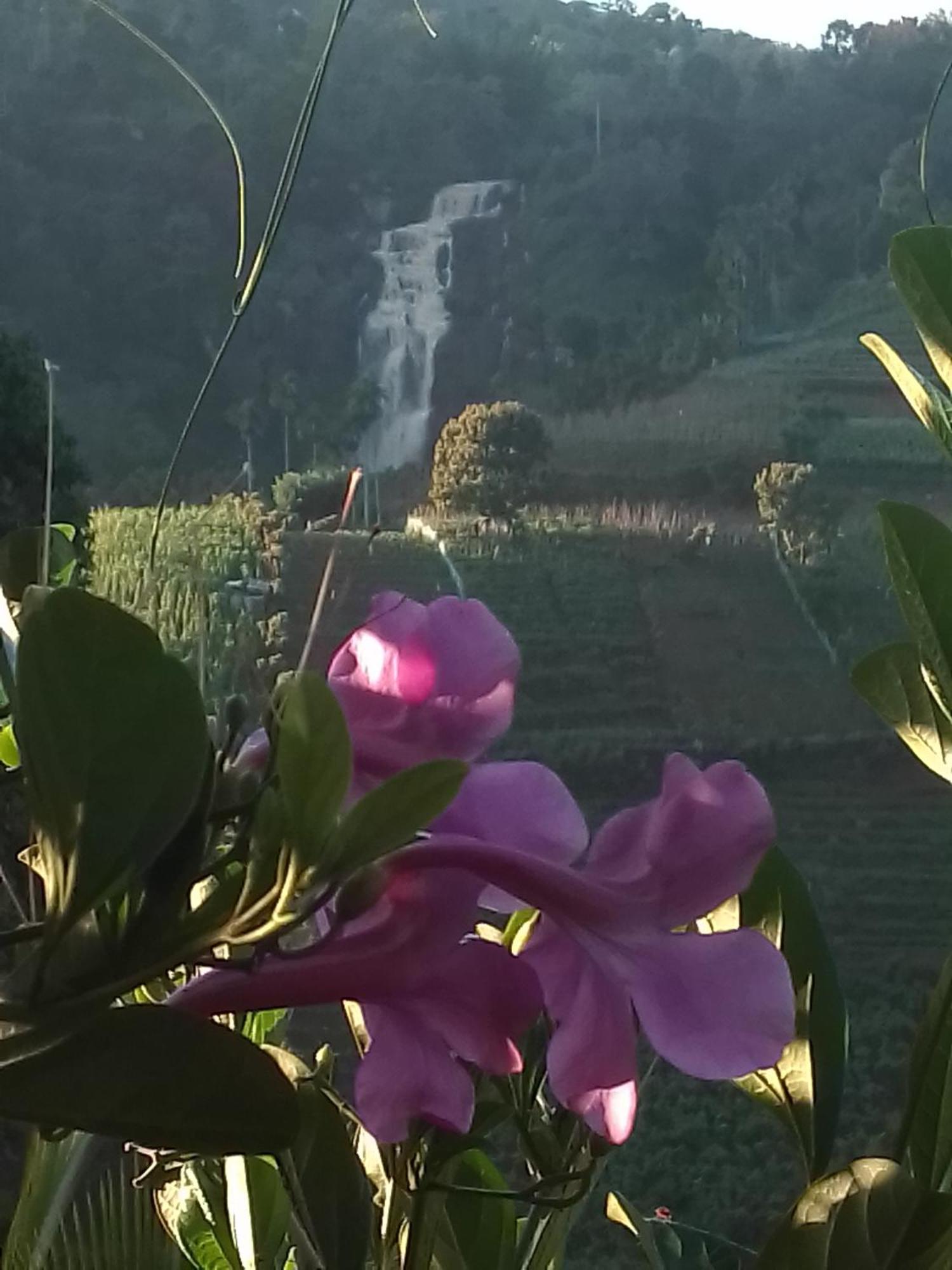 Cascade Vally Ella Zewnętrze zdjęcie